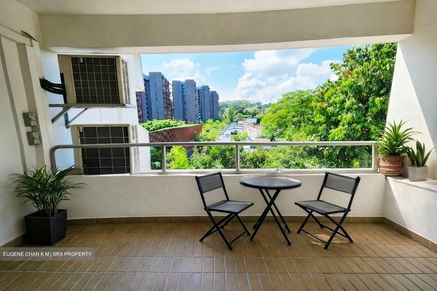 Clementi Park (D21), Condominium #547673621